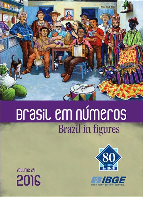 Brasil em Números 2016